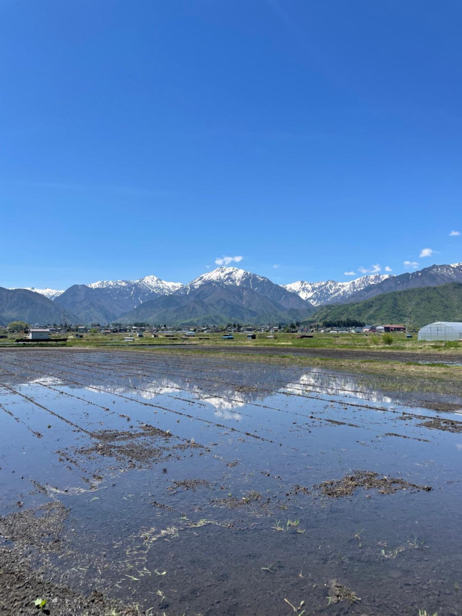 北アルプス麓のゲストハウス林屋 Omachi  Ngoại thất bức ảnh