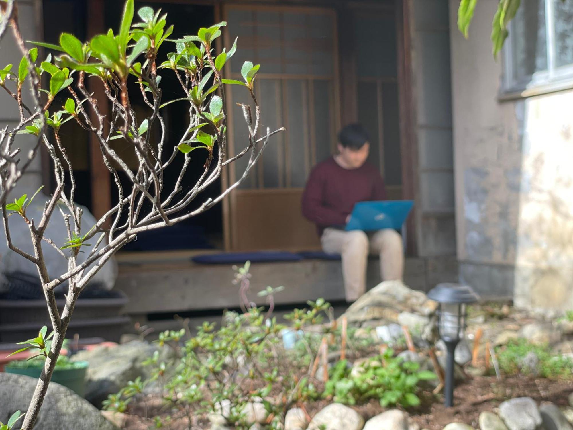 北アルプス麓のゲストハウス林屋 Omachi  Ngoại thất bức ảnh